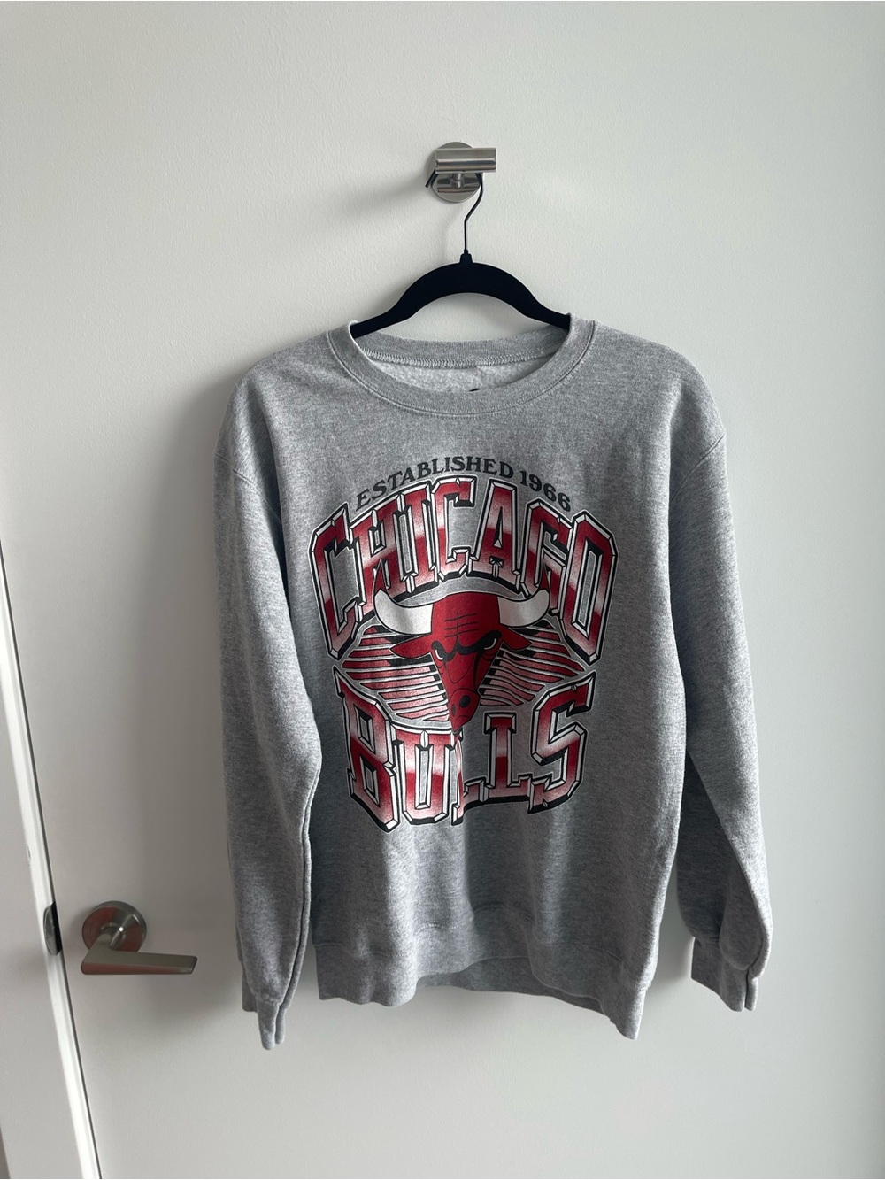 Junk Food Chicago Bulls Crewneck